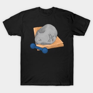 Yoga cat T-Shirt